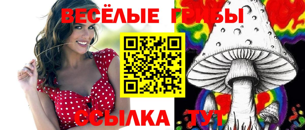 Галлюциногенные грибы Psilocybe  Вход с VPN  Благодарный 