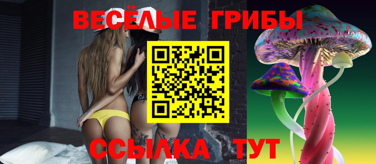 Галлюциногенные грибы Psilocybe Благодарный